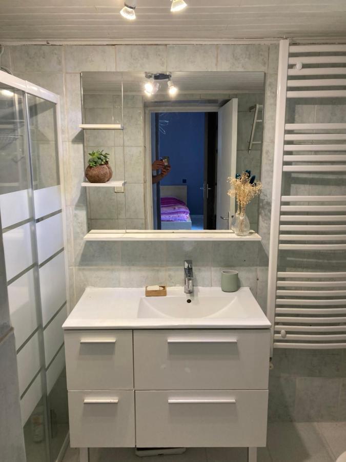Gite Cosy 25 Min Lyon Vienne St Etienne Longes ภายนอก รูปภาพ